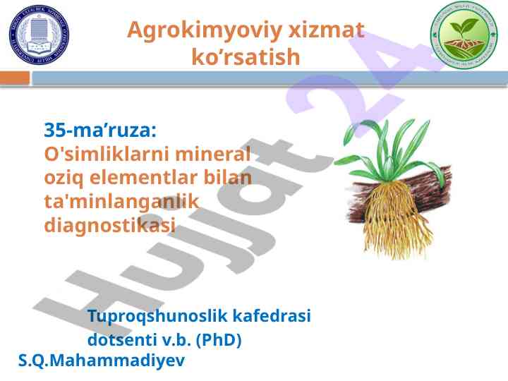 Agrokimyoviy xizmat ko'rsatish diagnostikasi
