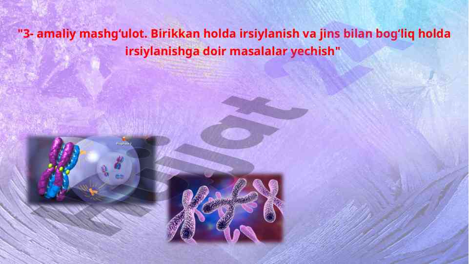Irsiylanish va jins bilan bog‘liq masalalar yechtirish
