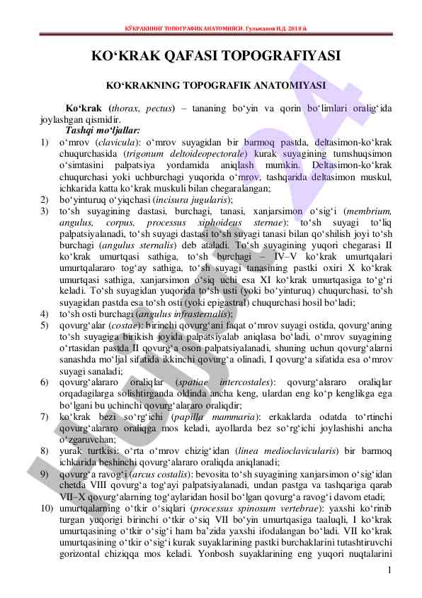 Kökrakning topografik anatomiyasi