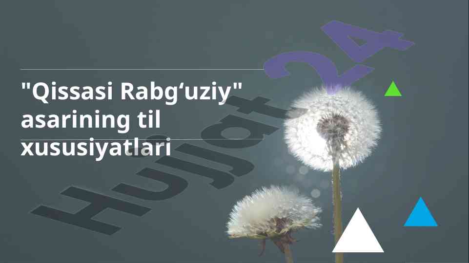 Qissasi rabgʻuziy asarining til xususiyatlari