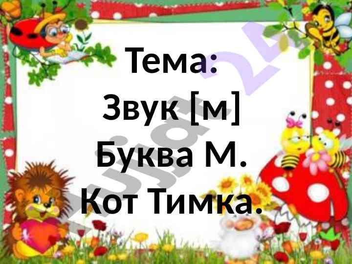 Zvuk m bukhva m kot timka oprosnaya zadaniya