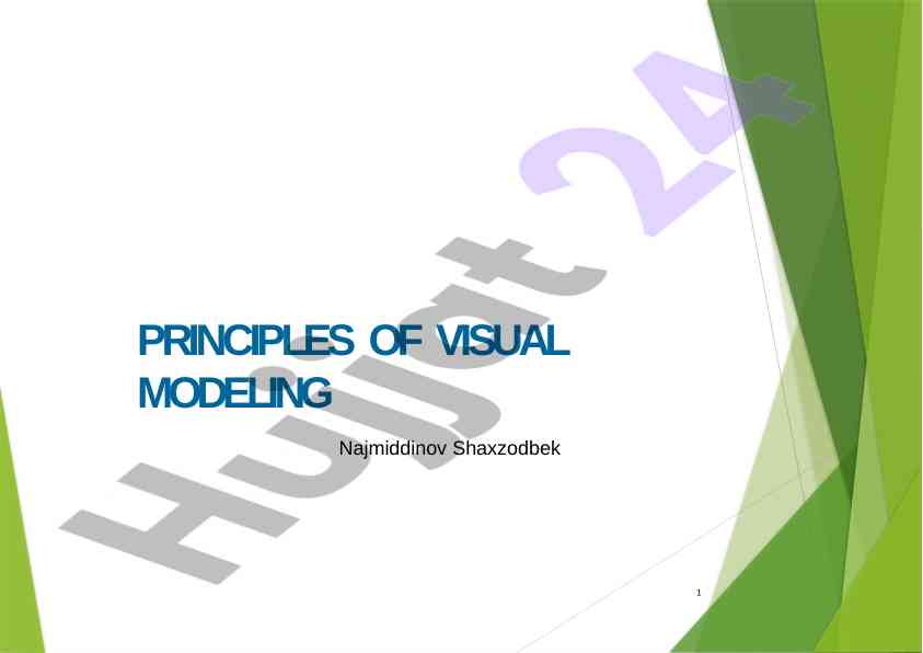 Principles of visual modeling challenges and importance