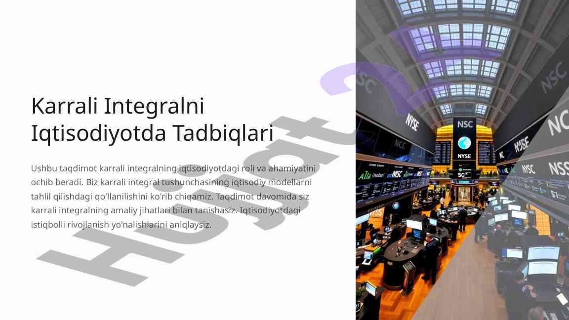 Karrali integral iqtisodiyotda tadbiqlari