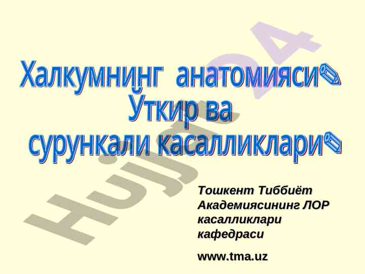 Halqum qismining anatomiyasi va faoliyati