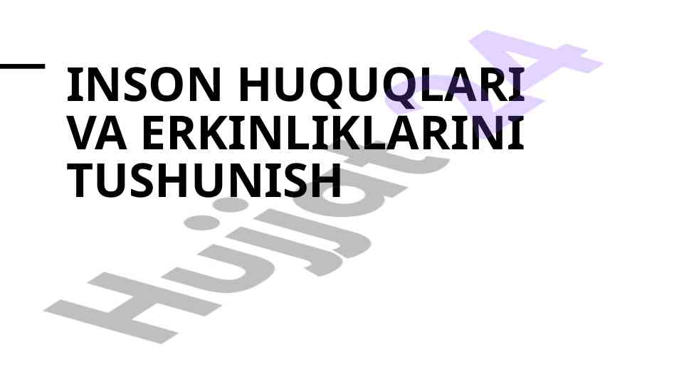 Inson huquqlari va erkinliklarini tushunish rejasi