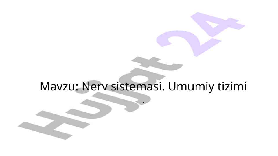 Nerv sistemasi umumiy tizimi va funktsiyalari