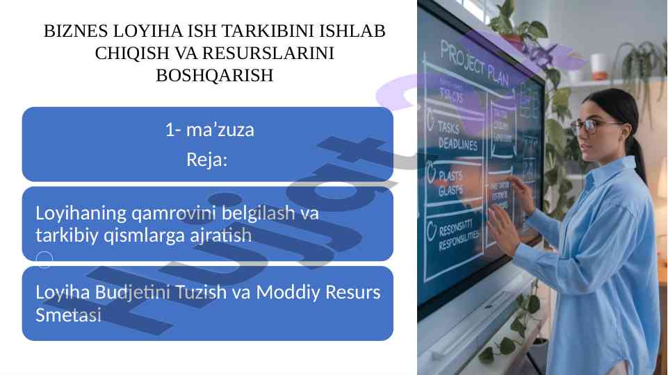 Biznes loyihasi ish tarkibini o'rganish