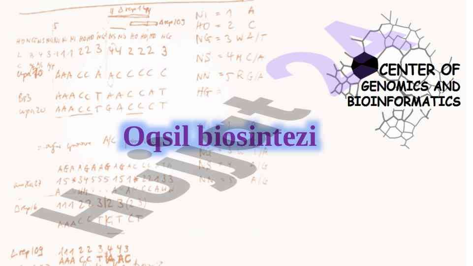 Oqsil biosintezi reja va prosesslar