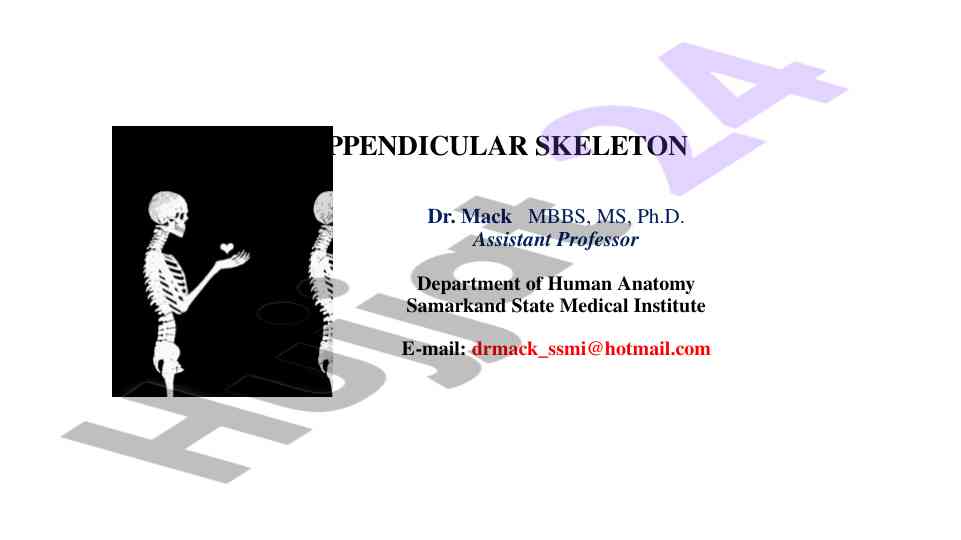 Appendicular skeleton overview and functionality
