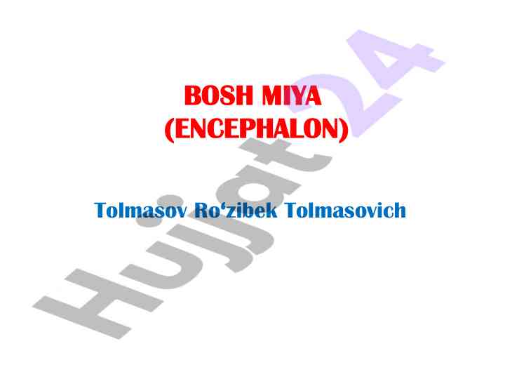 Bosh miya anatomiyasi va funksiyalari