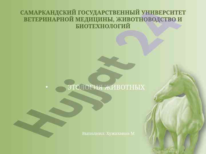 Этология животных: изучение поведения и одомашнивания