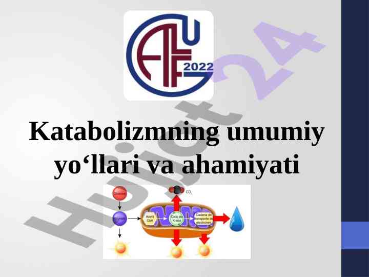 Katabolizmning umumiy yo‘llari va ahamiyati tahlili