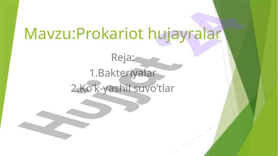 Prokariot hujayralar bakteriyalar va ko’k-yashil suvo’tlar