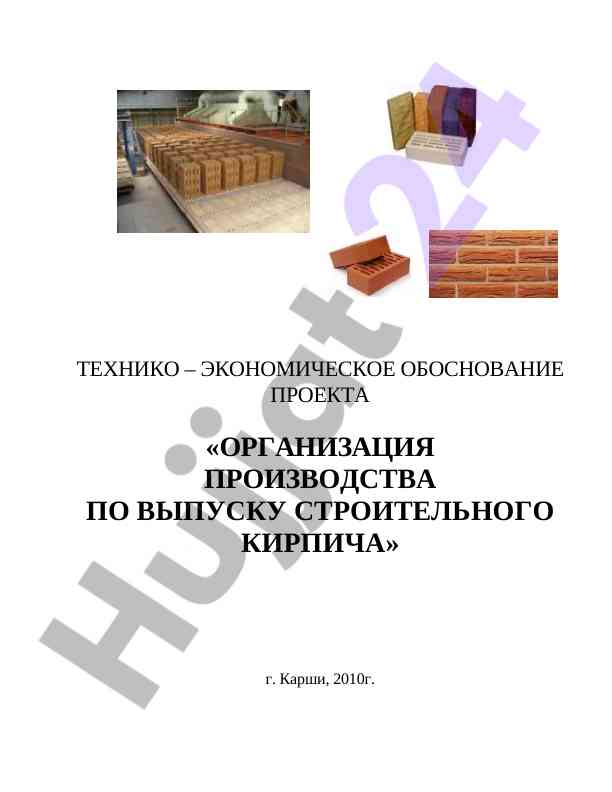 Tekhniko-ekonomicheskoye obosnovanie proyekta