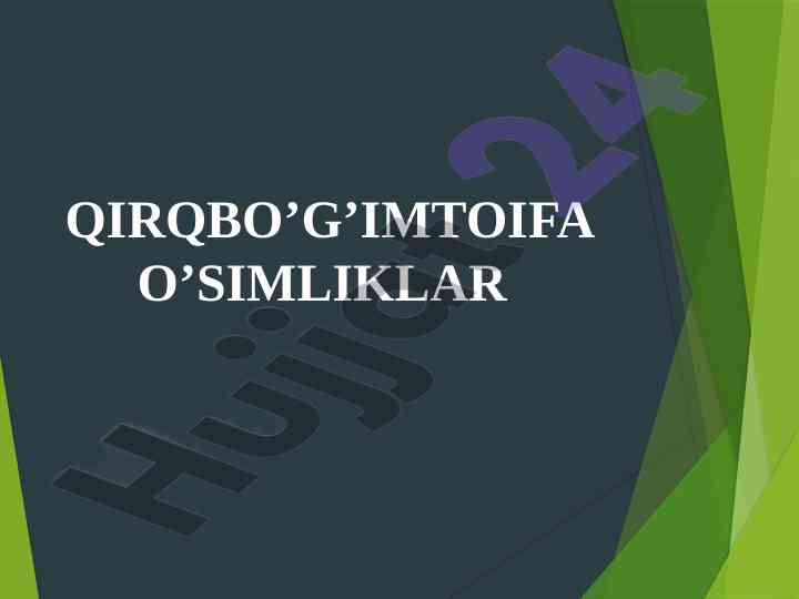 Gieniyasimonlar va ponabargsimonlar sinflari