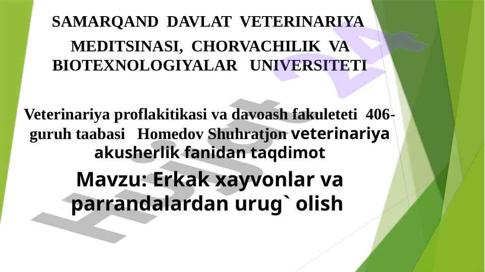 Erkak hayvonlardan urug‘ olish jarayonlari