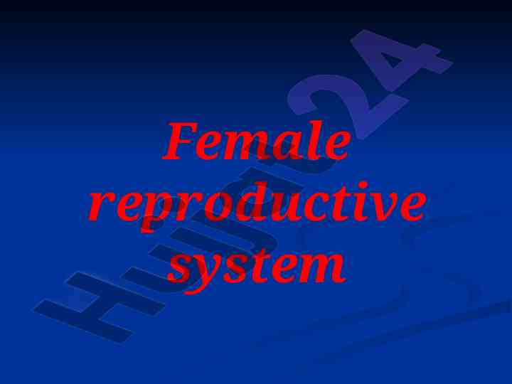 Female reproductive system overview and function