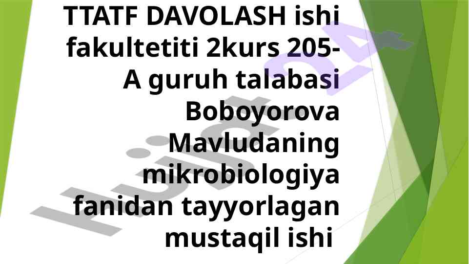 Ebola, lassa va sirka viruslari va patogenez