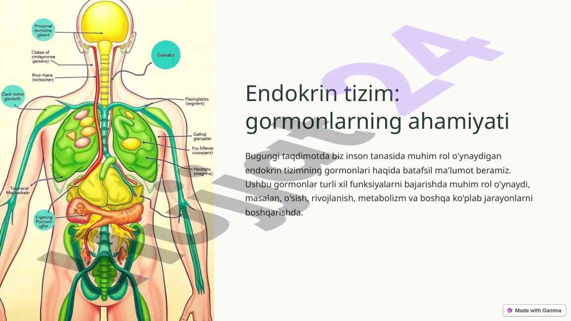 Endokrin tizimning gormonlari va ufqlari
