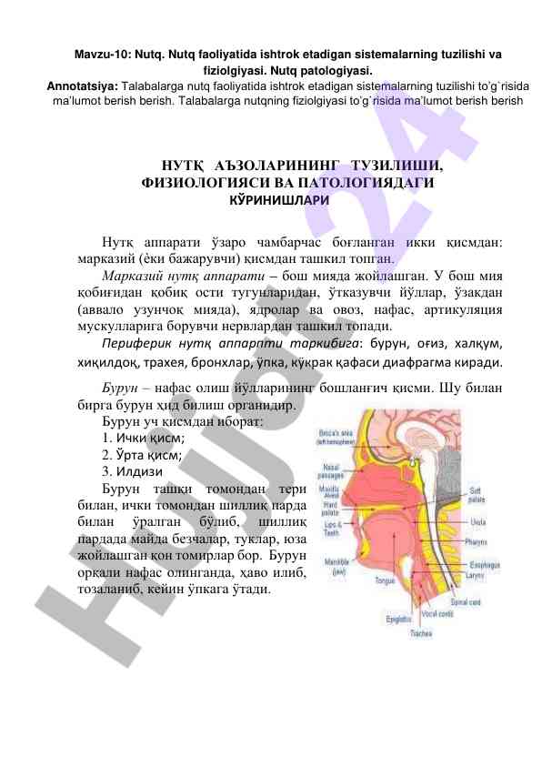 Nutq faoliyatida sistemalarning tuzilishi va fiziologiyasi