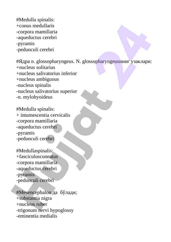 Medulla spinalis va uning konstruksiyalari