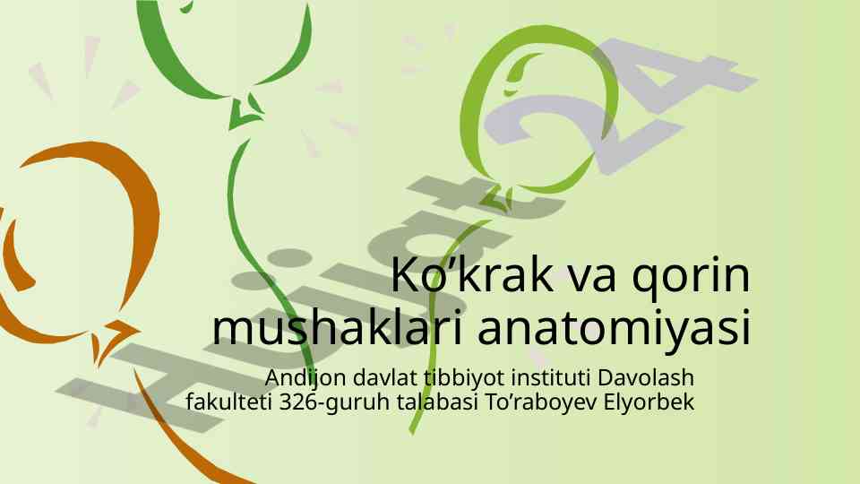Ko’krak va qorin mushaklari anatomiyasi