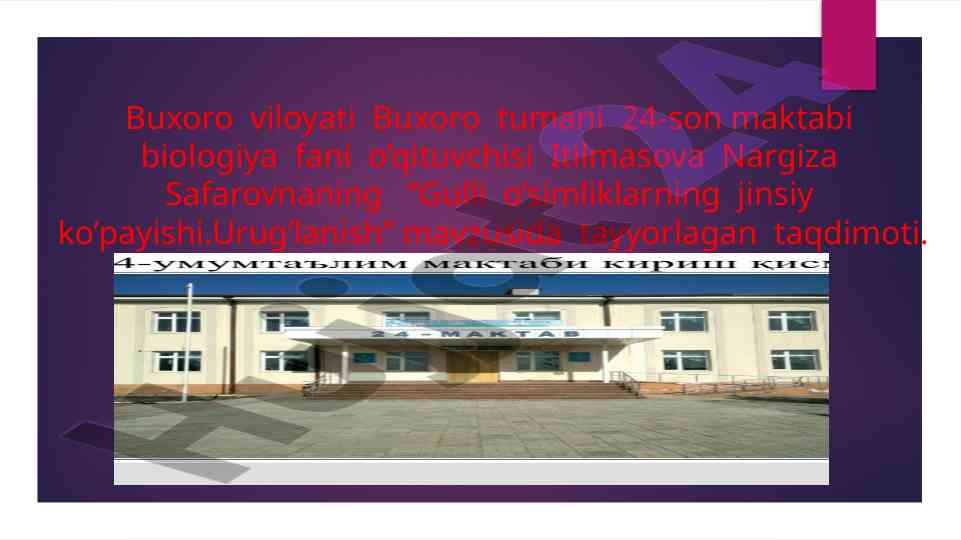 Gulli o’simliklarning jinsiy ko’payishi mavzusida taqdimot