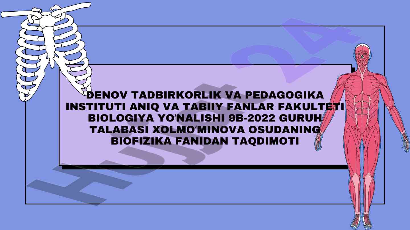Mushak qisqarish jarayonlari va oqsillari