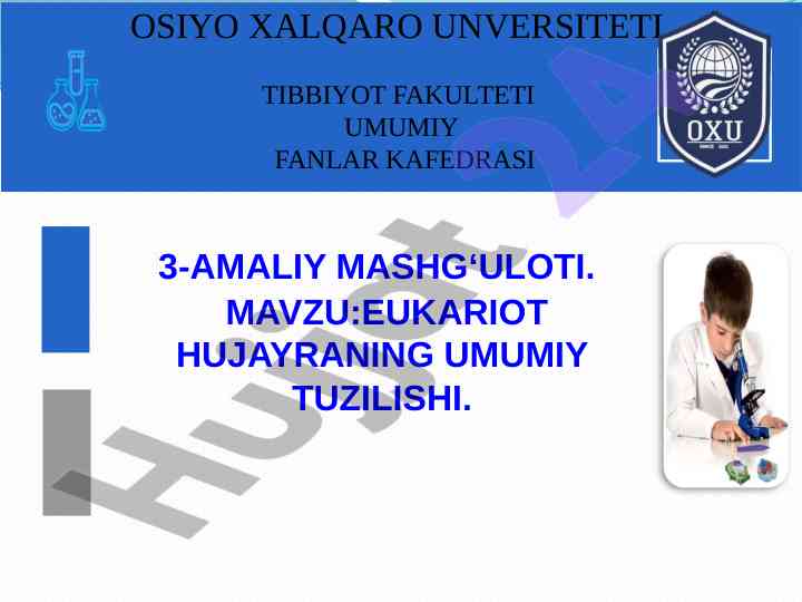 Eukariot hujayra tuzilishi va funksiyalari