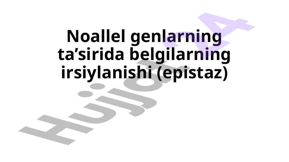 Noallel genlarning ta’sirida belgilarning irsiylanishi