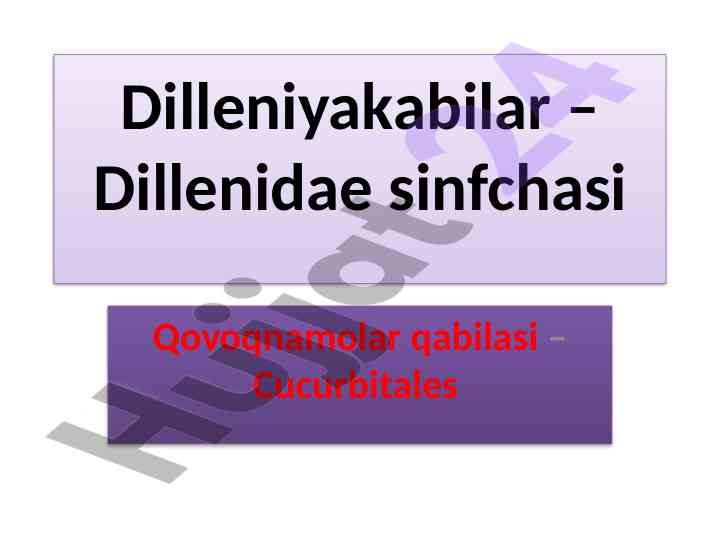 Dilleniyakabilar sinfchasining klassifikatsiyasi