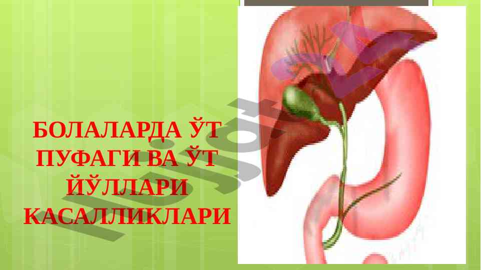 Болаларда ўт пифаги ва ўт йўллари касалликлари
