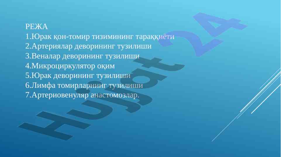 Юрак қон-томир тизими ҳақида асосий маълумотлар