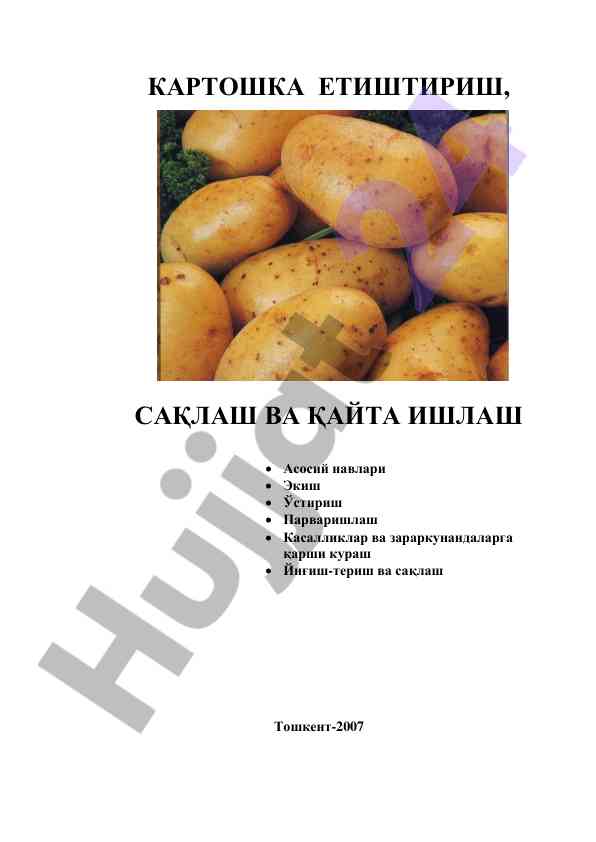 Kartoshka etiishtirish, saqlash va qayta ishlash