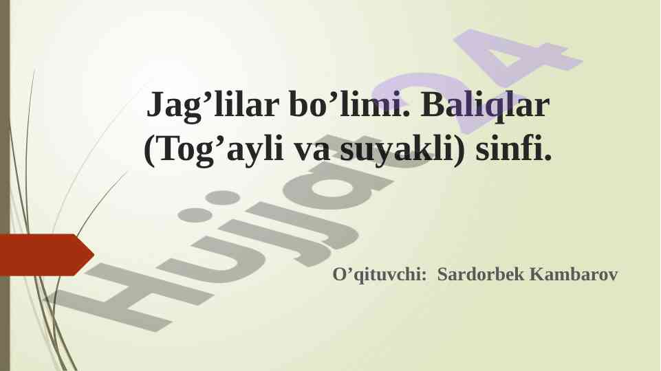 Tog’ayli baliqlar sinfi biologik ta’rif