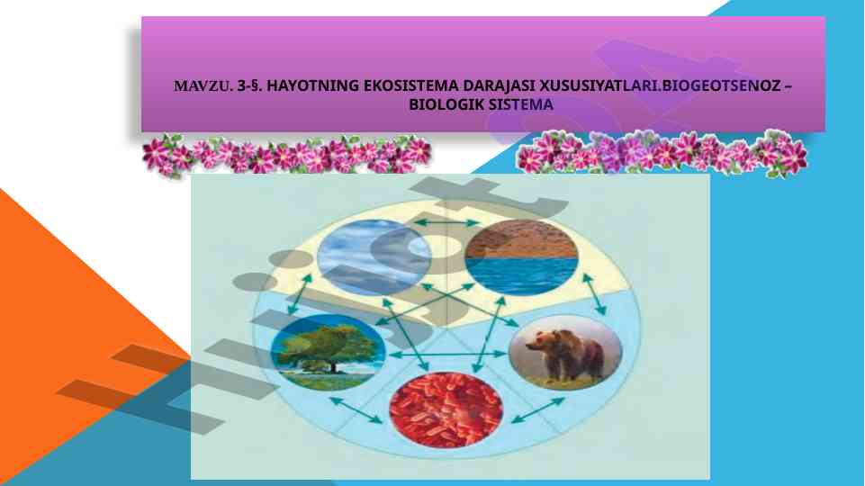 Hayotning ekosistema darajasi xususiyatlari