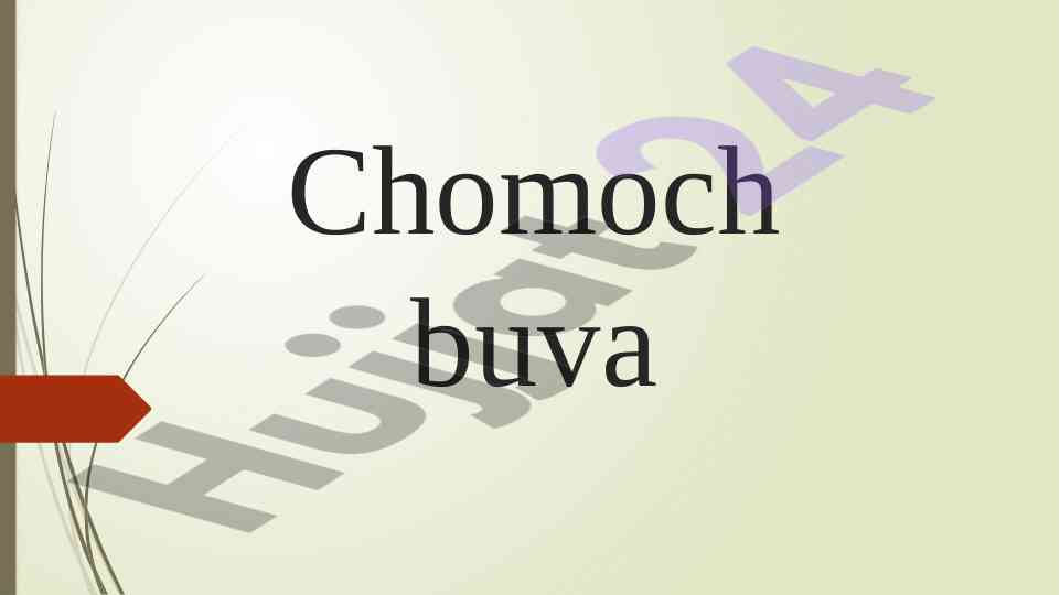 Chomoch buva yodgorligi tarixi va ahmiyati
