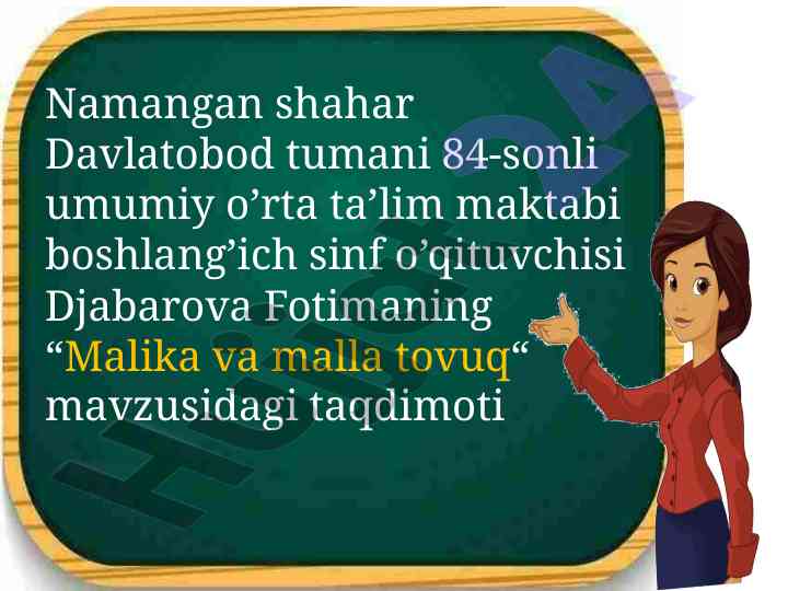 Malika va malla tovuqlar taqdimoti