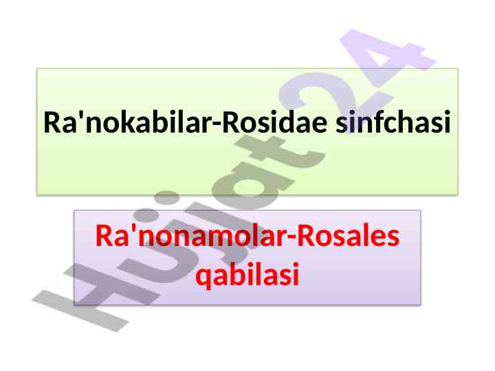 Ra'nokabilar sinfchasi va ularning turlari