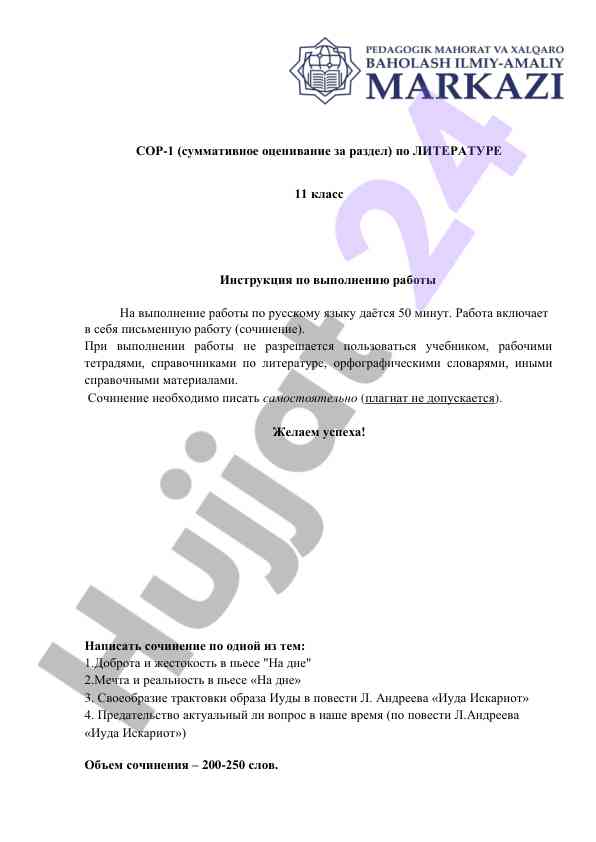 Sором-1 по литературе инструкция по выполнению работы