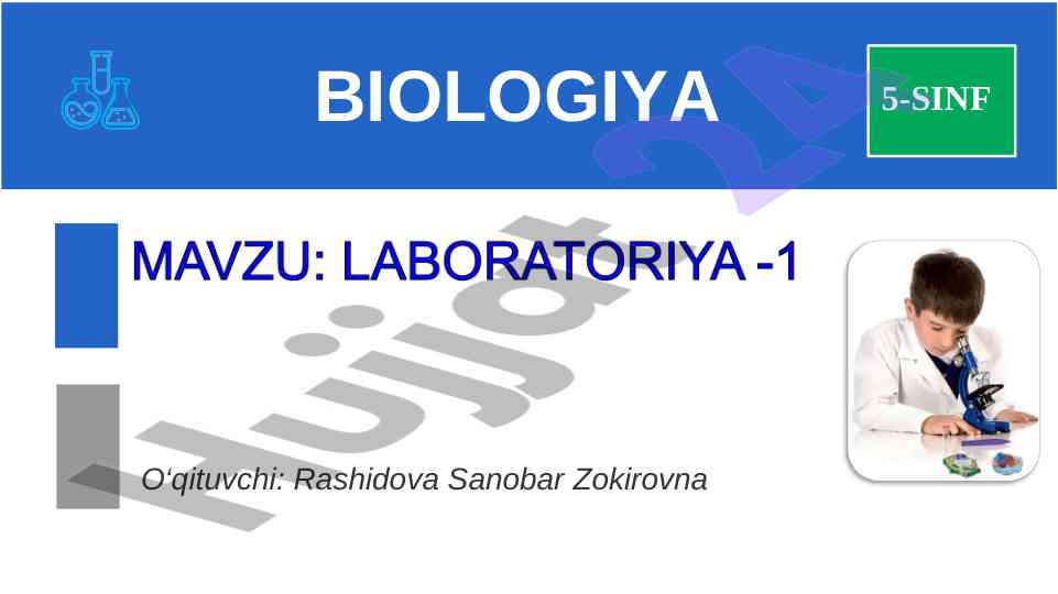 O‘simliklarning tashqi tuzilishi va laboratoriya jihozlari
