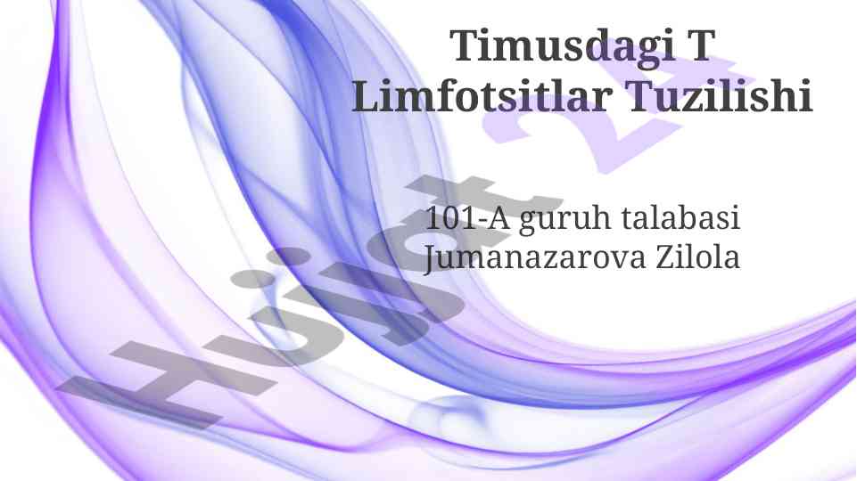 Timusdagi t limfotsitlar tuzilishi va rivojlanishi