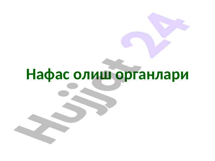 Нафас олиш органлари ва улар структураси