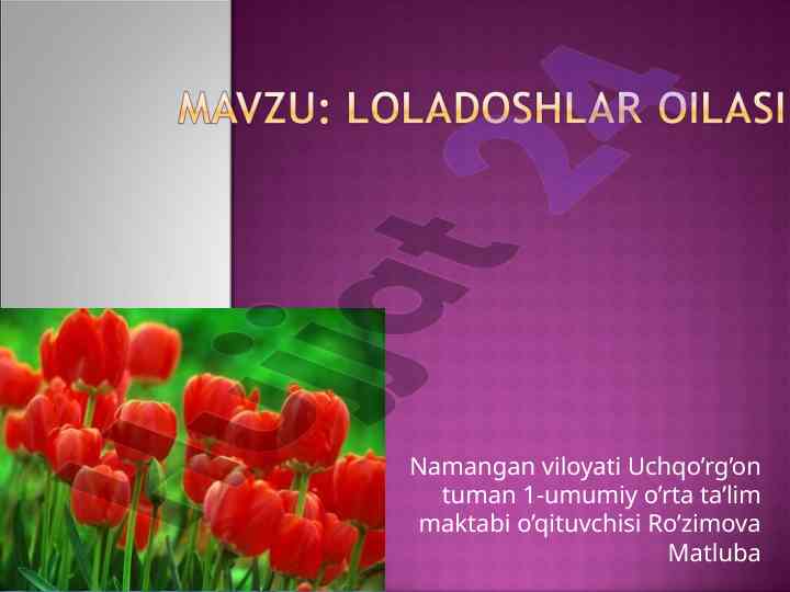 Loladoshlar oilasi haqida ma’lumotlar tahlili