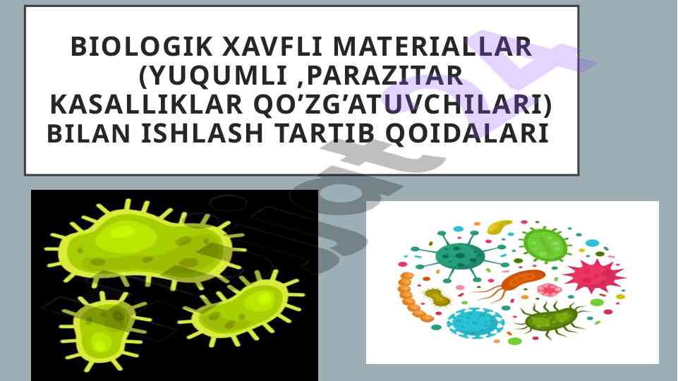 Biologik xavfli materiallar bilan ishlash tartib qoidalari