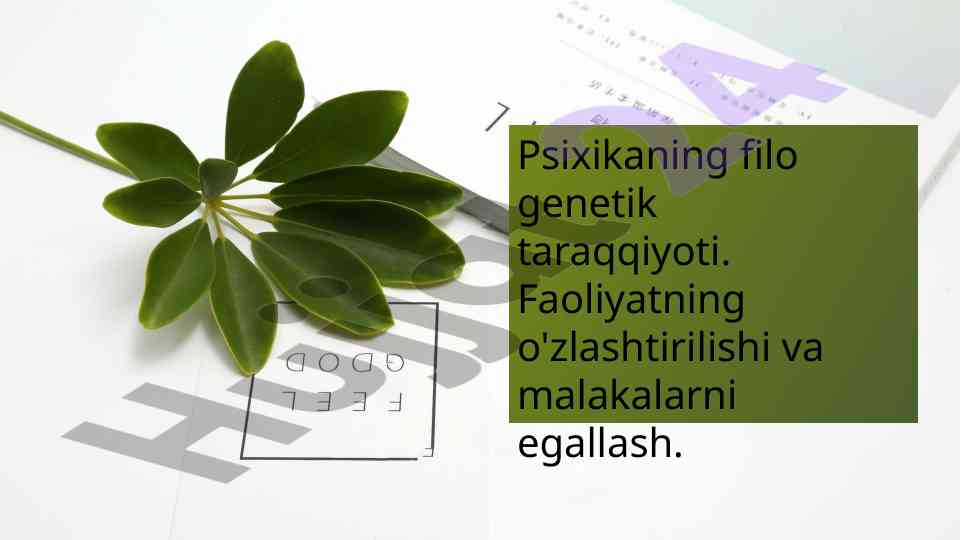 Psixikaning filo genetik taraqqiyoti va faoliyat