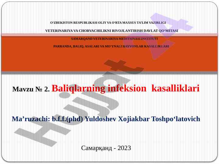 Baliqlarning infeksion kasalliklari haqida ma'ruza