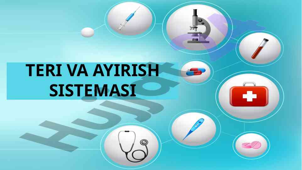 Teri va ayirish tizimi protseslari