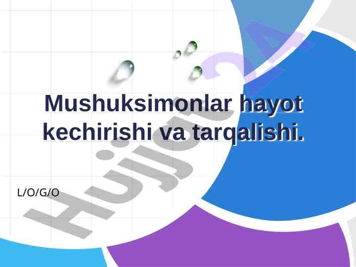 Mushuksimonlar Hayoti Va Tarqalishi