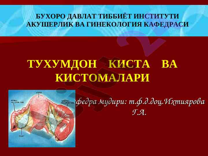Тухумдон киста ва кистомалари тўғрисида маълумот